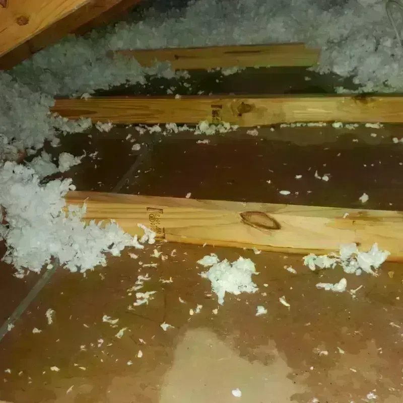 Attic Water Damage in North Andrews Gardens, FL